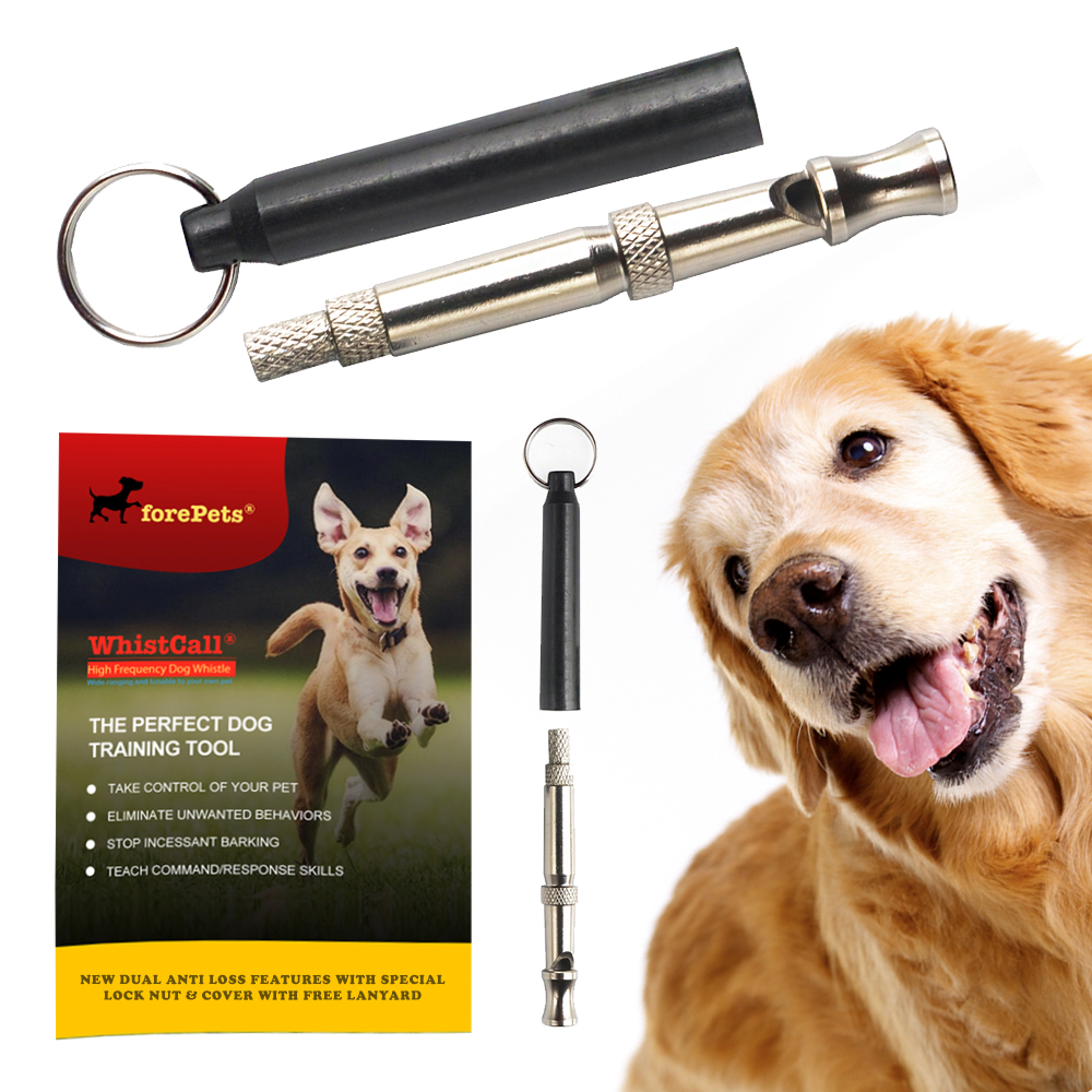 Dog Training Tools vs. Dog Management Tools